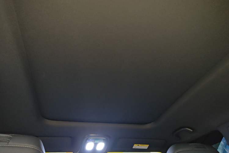Used Deepal G318 2024 Two-Wheel Drive Comfort Edition Headliner