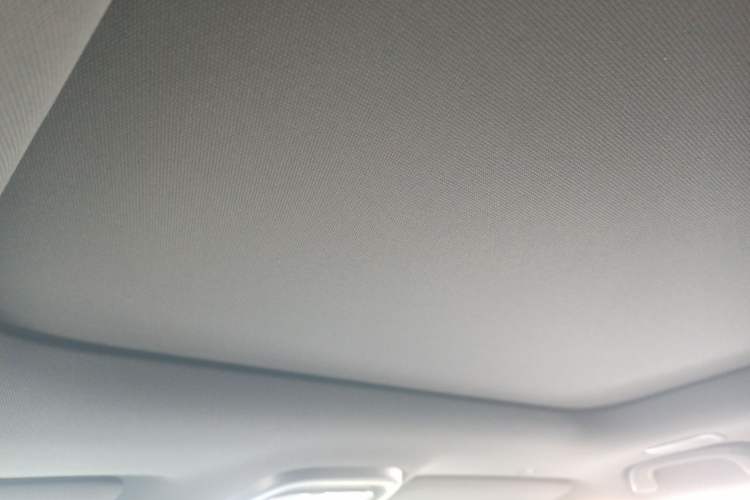 Used Deepal G318 2024 Four-Wheel Drive Comfort Edition Headliner