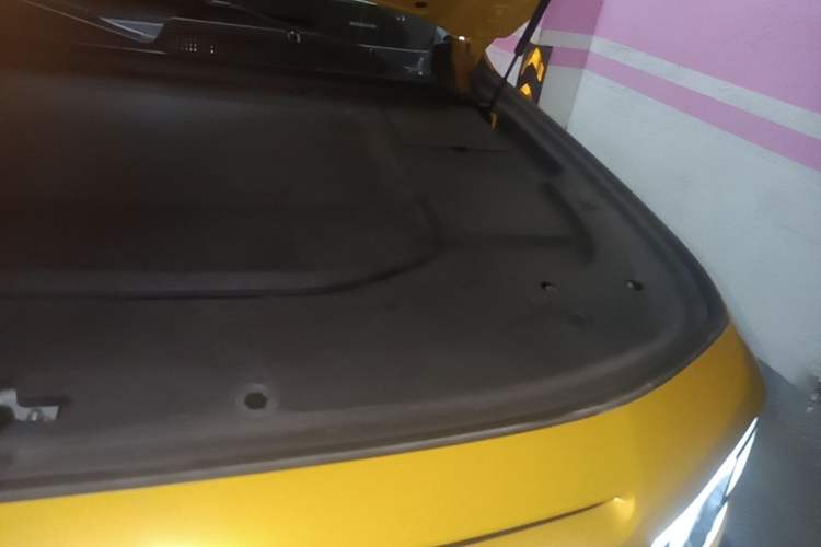 Used Deepal G318 2025 Worry-Free Adventure Edition Four-Wheel Drive Secret Realm Version Engine Bay Left