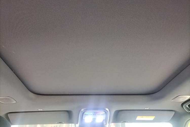 Used Deepal G318 2025 Worry-Free Adventure Edition Four-Wheel Drive Secret Realm Version Headliner