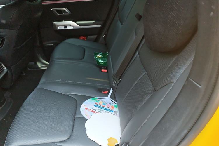 Used Deepal G318 2025 Worry-Free Adventure Edition 2WD Wilderness Version Left Rear Seat