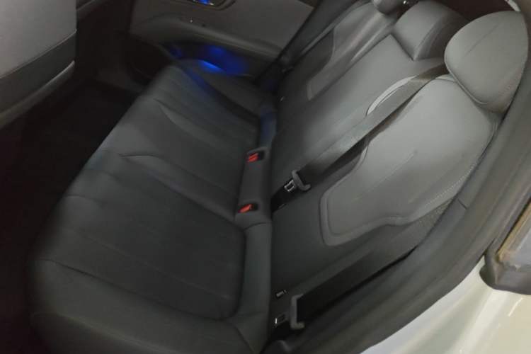 Used Deepal L06 2026 Model 670Ultra Laser Edition Left Rear Seat