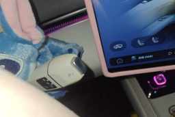 Thumbnail 15