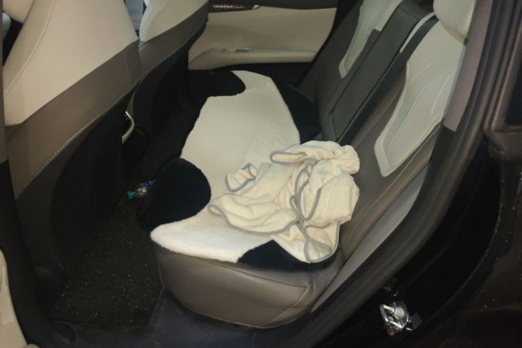 Used Deepal L07 2024 230Max Range-Extended Version Left Rear Seat