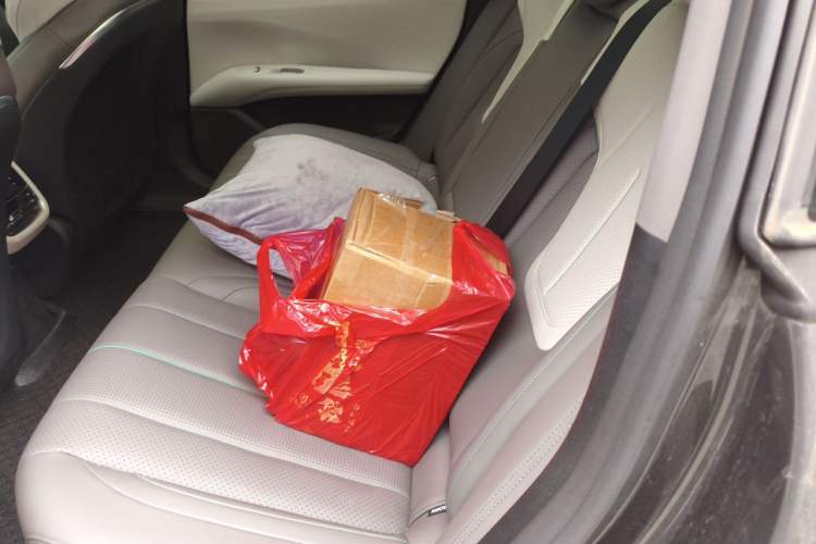 Used Deepal L07 2025 300Ultra with DeepBlue Intelligent Driving AD PRO Extended-Range Version Left Rear Seat