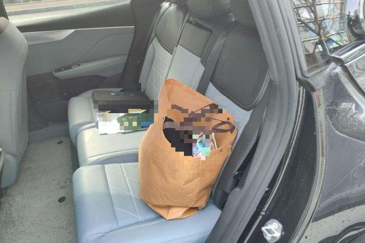 Used Deepal S05 2024 510 Ultra Pure Electric Version Left Rear Seat