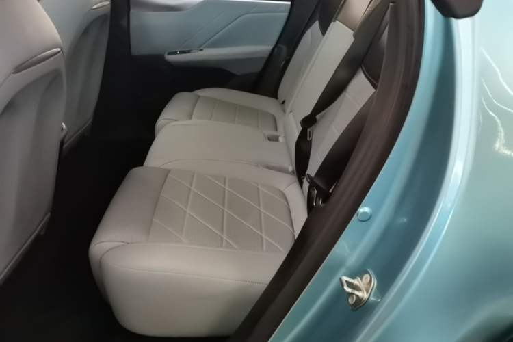 Used Deepal S05 2024 510 Ultra Pure Electric Version Left Rear Seat