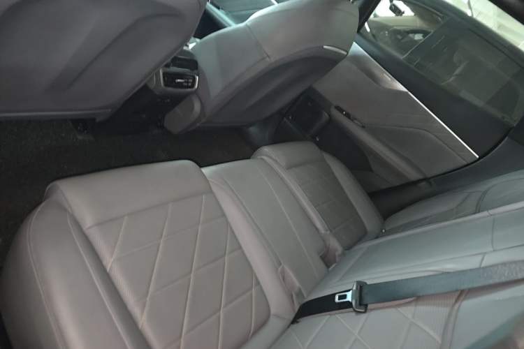 Used Deepal S05 2024 510 Ultra Pure Electric Version Left Rear Seat