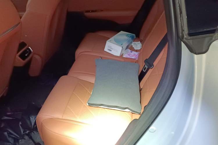 Used Deepal S05 2024 510Max Pure Electric Version Left Rear Seat
