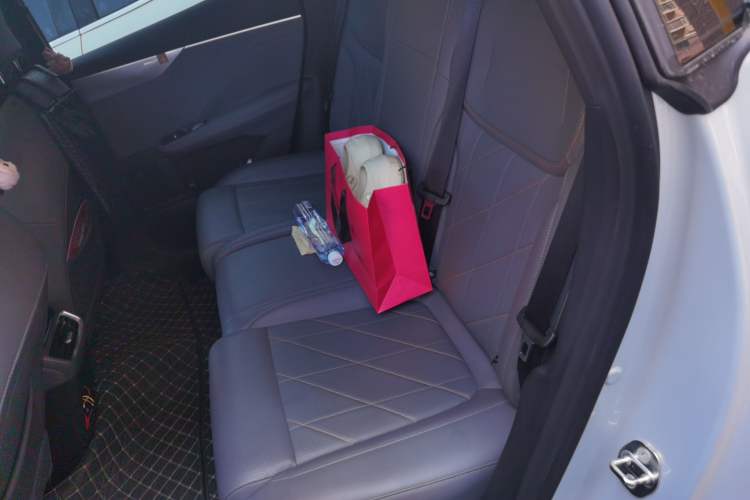 Used Deepal S05 2024 510Max Pure Electric Version Left Rear Seat