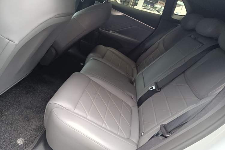 Used Deepal S05 2024 510 Ultra Pure Electric Version Left Rear Seat