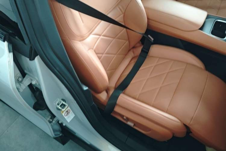 Used Deepal S05 2024 510 Ultra Pure Electric Version Right Front Seat