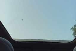 Thumbnail 19