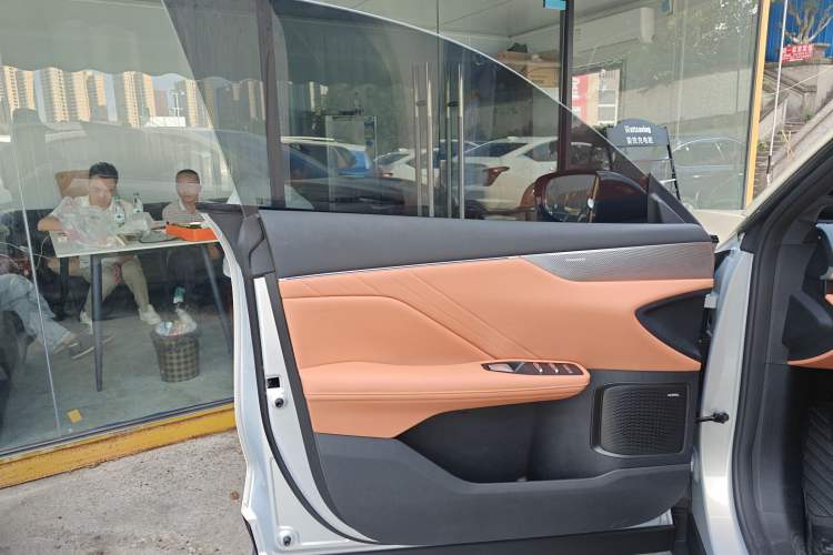 Used Deepal S05 2024 200 Ultra Range-Extended Long-Range Version Left Front Door Interior
