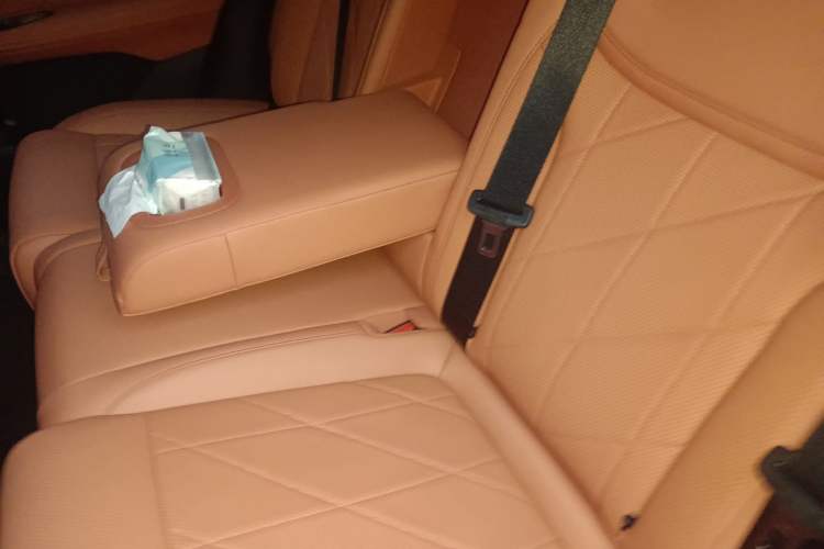 Used Deepal S05 2026 Model 620Plus Pure Electric Edition Left Rear Seat