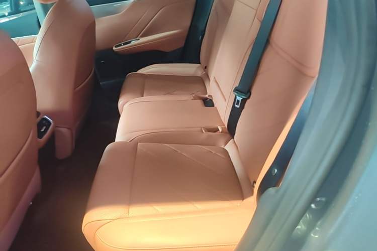 Used Deepal S05 2026 Model 520Max Pure Electric Edition Left Rear Seat