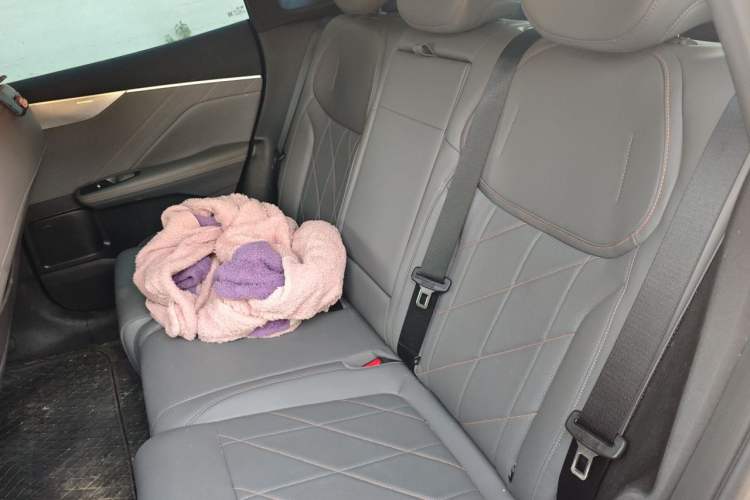 Used Deepal S05 2026 Model 520Max Pure Electric Edition Left Rear Seat
