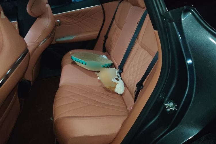 Used Deepal S07 2023 520Max Pure Electric Version Left Rear Seat