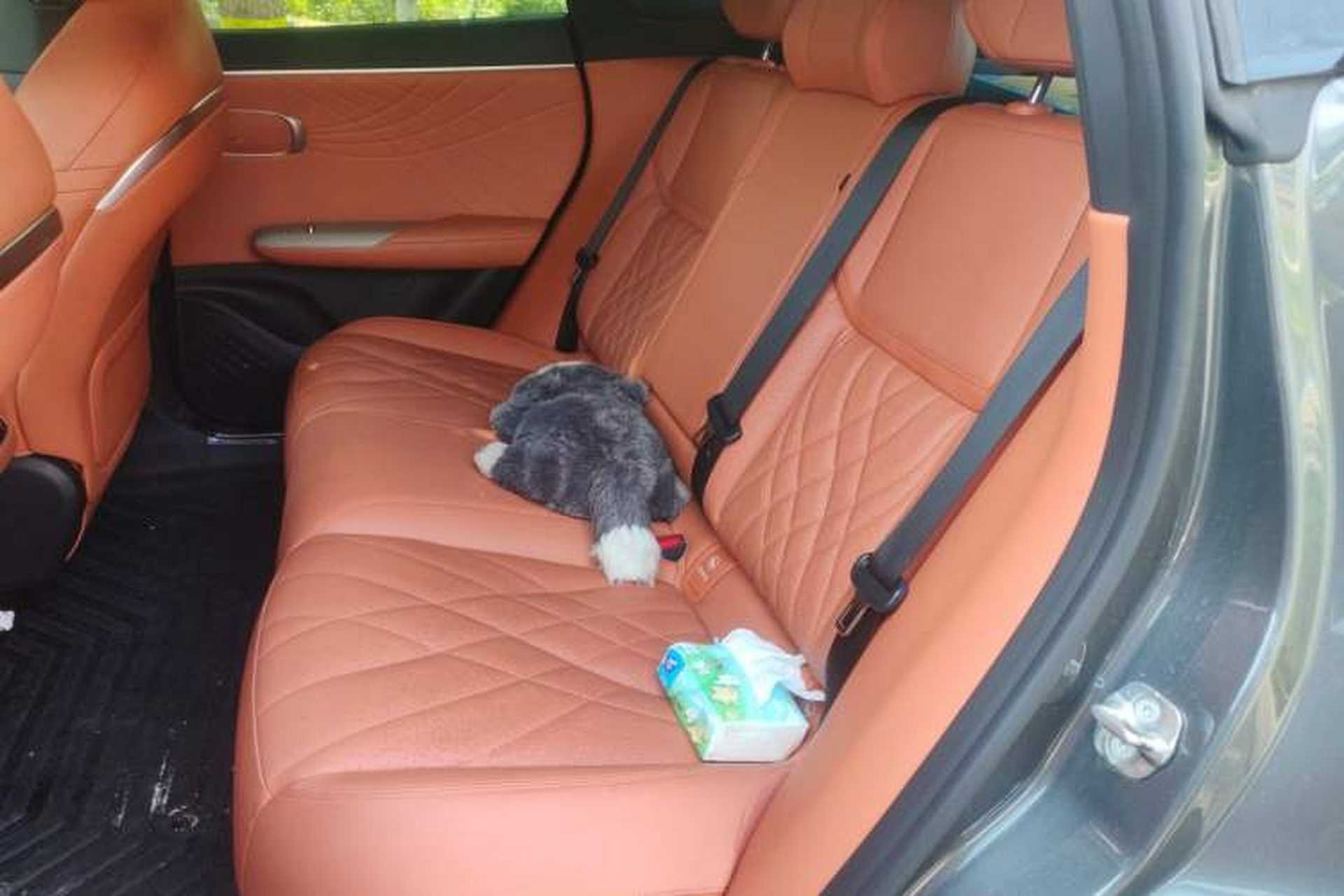 Used Deepal S07 2023 200Max Range-Extended Version Left Rear Seat
