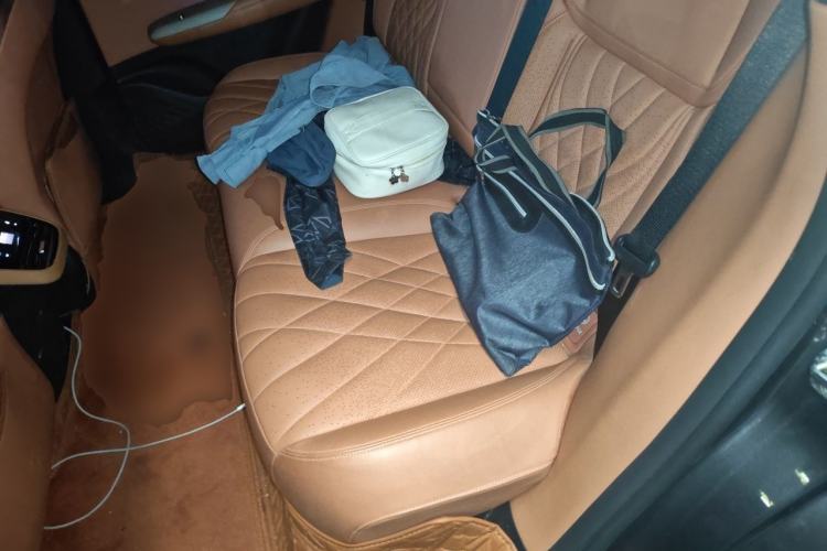 Used Deepal S07 2023 200Max Range-Extended Version Left Rear Seat
