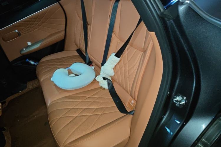 Used Deepal S07 2023 S7i 200Max Extended-Range Model Left Rear Seat