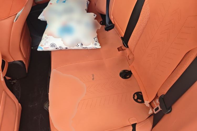 Used Deepal S07 2023 200Max Range-Extended Version Left Rear Seat