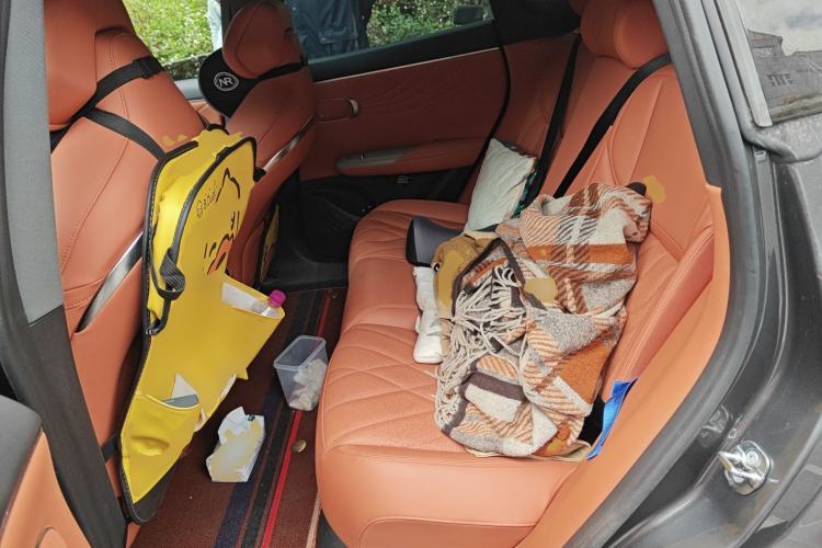 Used Deepal S07 2024 121Max Glory Edition Left Rear Seat