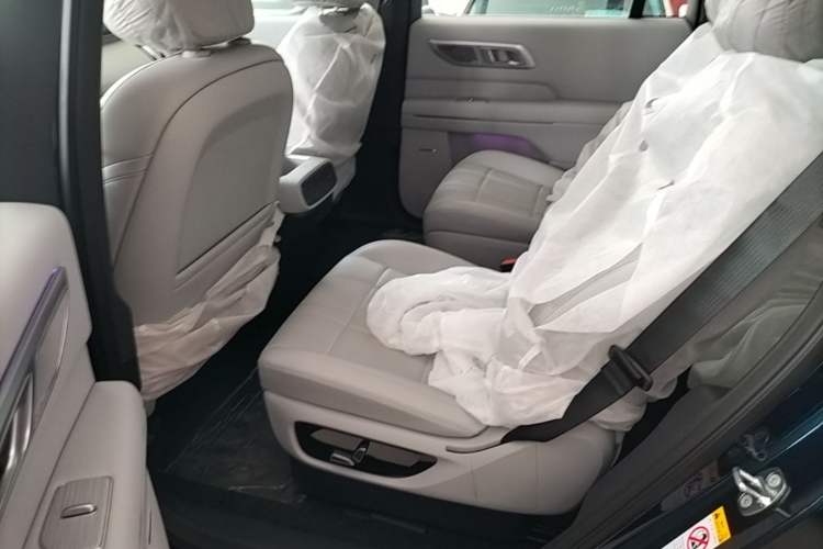 Used Deepal S09 2025 Rear-Drive Max Left Rear Seat