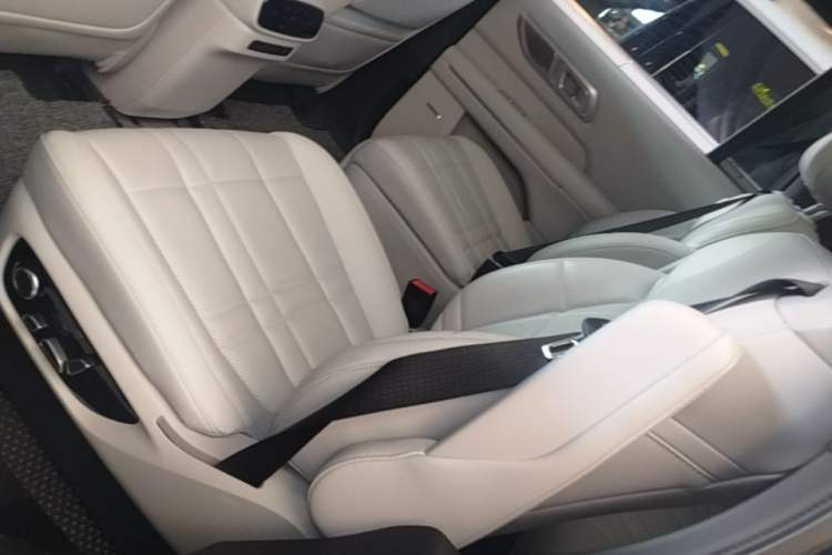 Used Deepal S09 2025 Rear-Drive Ultra+ Left Rear Seat