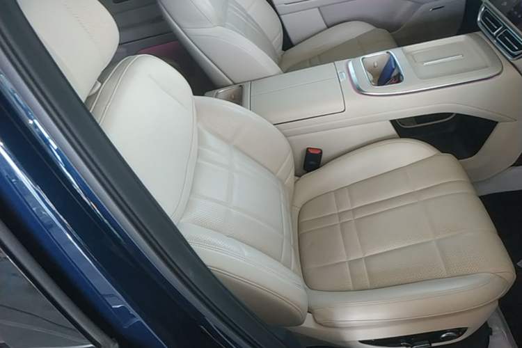 Used Deepal S09 2025 Four-Wheel Drive Ultra+ Custom Edition Right Front Seat