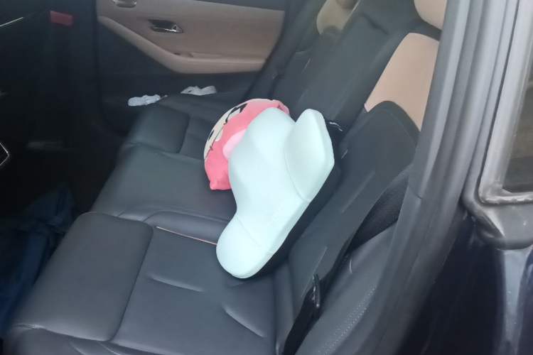 Used Deepal SL03 2022 515 Pure Electric Version Left Rear Seat