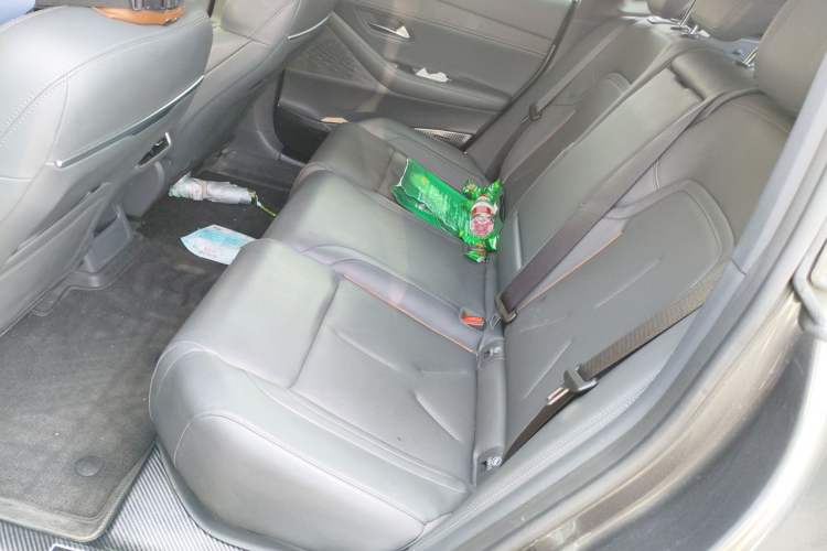 Used Deepal SL03 2022 515 Pure Electric Version Left Rear Seat