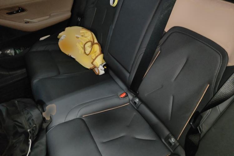 Used Deepal SL03 2022 1.5L 1200 Extended-Range Version Left Rear Seat