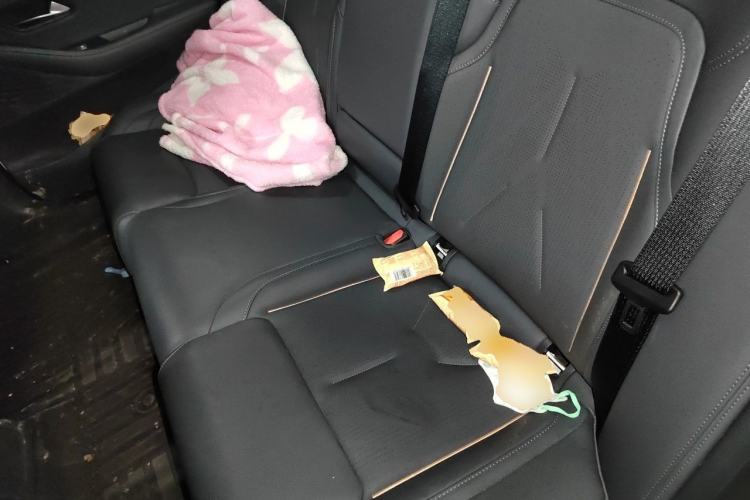 Used Deepal SL03 2022 515 Pure Electric Version Left Rear Seat