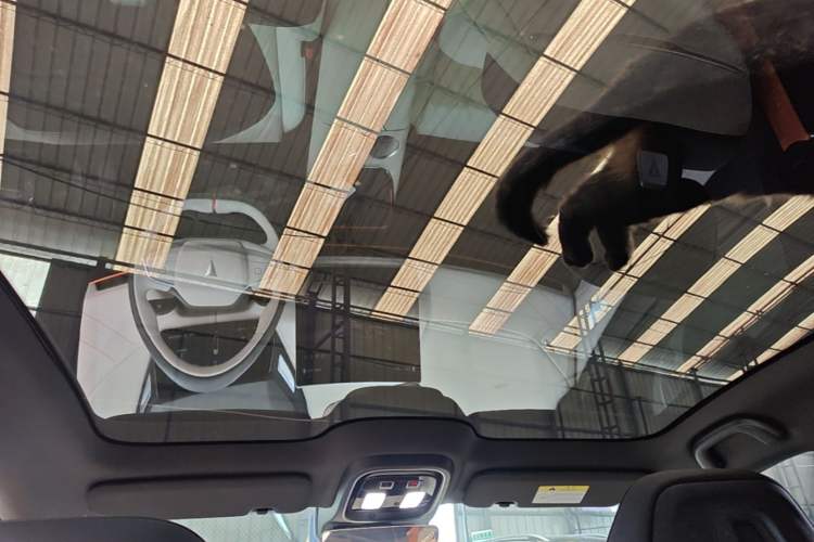 Used Deepal SL03 2024 530 Plus Pure Electric Version Headliner