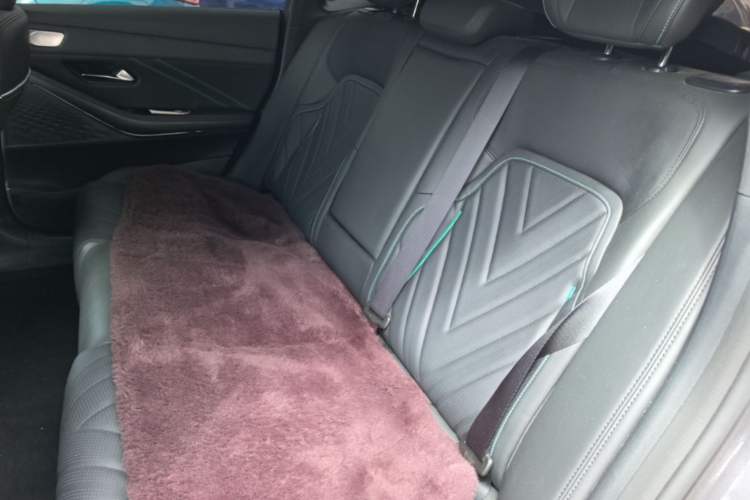Used Deepal SL03 2025 Revised Version All-Electric Elite Type Left Rear Seat