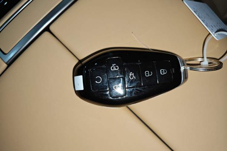 Used Denza D9 2025 DM-i Smart Drive 1020 Four-Wheel Drive Deluxe Model Interior 1