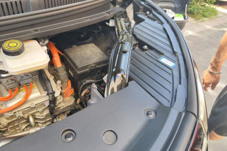 Used Denza D9 2022 DM-i 970 Four-Wheel Drive Flagship Model Engine Bay Left