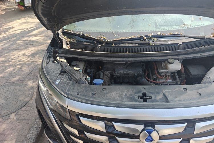 Used Denza D9 2022 DM-i 970 Four-Wheel Drive Prestige Model Engine Bay Right