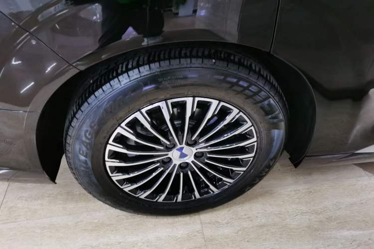 Used Denza D9 2022 DM-i 970 Four-Wheel Drive Flagship Model Exterior 5