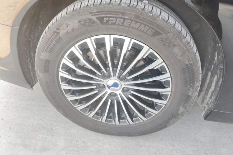 Used Denza D9 2022 EV 620 Prestige Model Exterior 5
