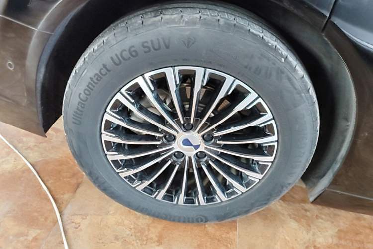 Used Denza D9 2022 EV 600 Four-Wheel Drive Flagship Model Exterior 5