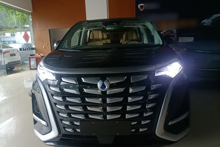 Used Denza D9 2022 DM-i 1040 Prestige Model Front