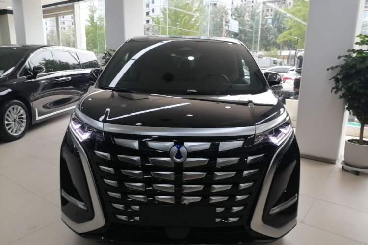 Used Denza D9 2022 DM-i 970 Four-Wheel Drive Prestige Model Front