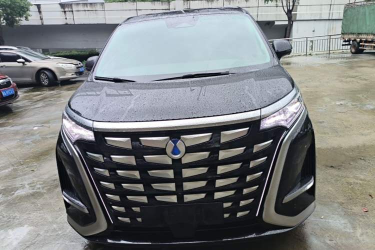 Used Denza D9 2022 DM-i 970 Four-Wheel Drive Flagship Model Front