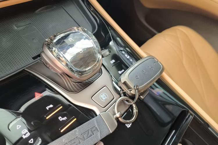 Used Denza D9 2022 DM-i 1040 Prestige Model Gear Lever