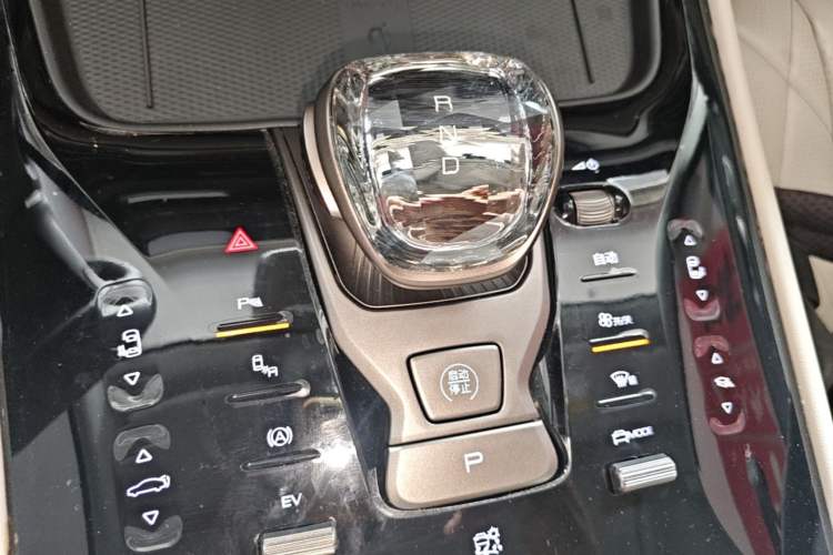 Used Denza D9 2022 DM-i 1040 Prestige Model Gear Lever