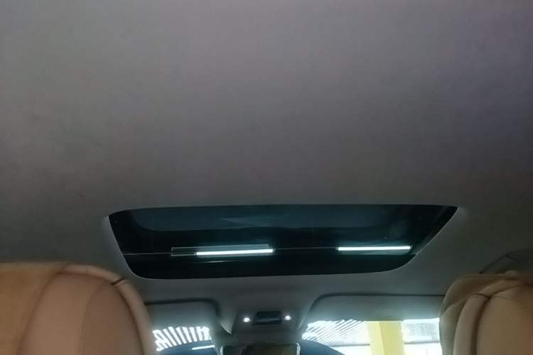 Used Denza D9 2022 DM-i 970 Four-Wheel Drive Flagship Model Headliner