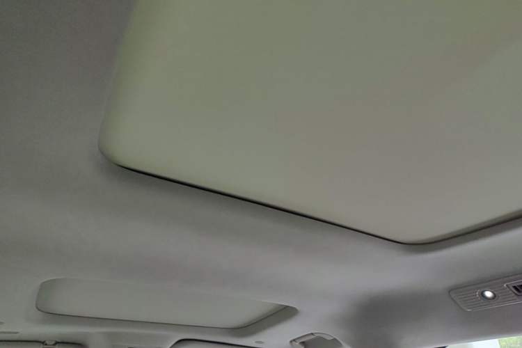 Used Denza D9 2022 DM-i 970 Four-Wheel Drive Flagship Model Headliner