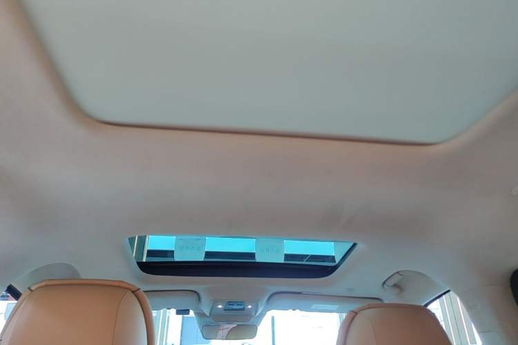 Used Denza D9 2022 DM-i 970 Four-Wheel Drive Flagship Model Headliner